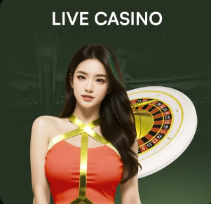 迪马+天空：德泽尔比执教热刺达原则协议，即将官宣！